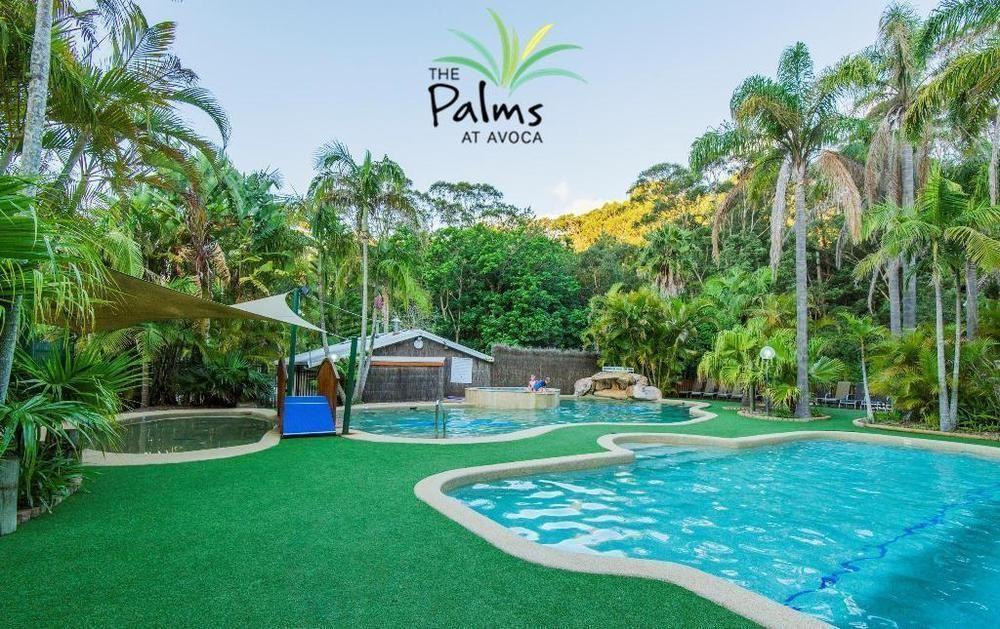 ホテル The Palms At Avoca アボカ・ビーチ エクステリア 写真