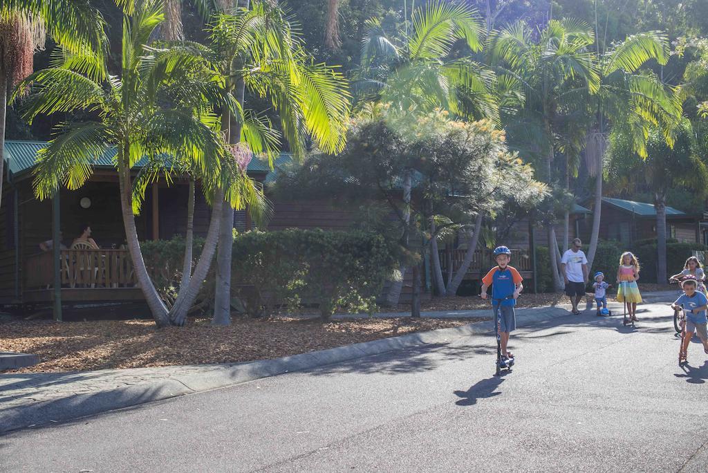 ホテル The Palms At Avoca アボカ・ビーチ エクステリア 写真